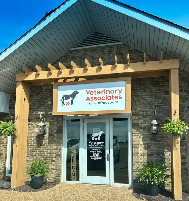 Veterinary Associates of Murfreesboro Murfreesboro Pet Hospital